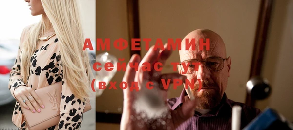 мет Алексин