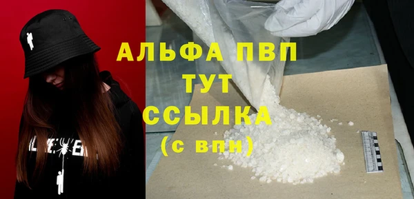 мет Алексин