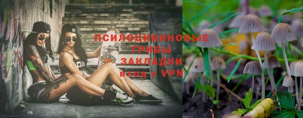 мет Алексин