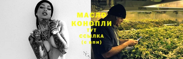 мет Алексин