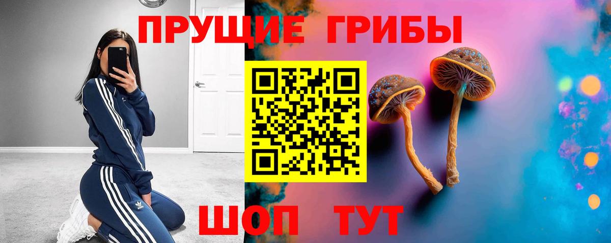 как найти наркотики  Галлюциногенные грибы мухоморы  Вход с VPN  Красногорск  Псилоцибиновые грибы мицелий 